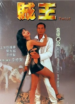 贼王,1995