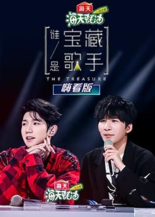 谁是宝藏歌手,嗨看版
